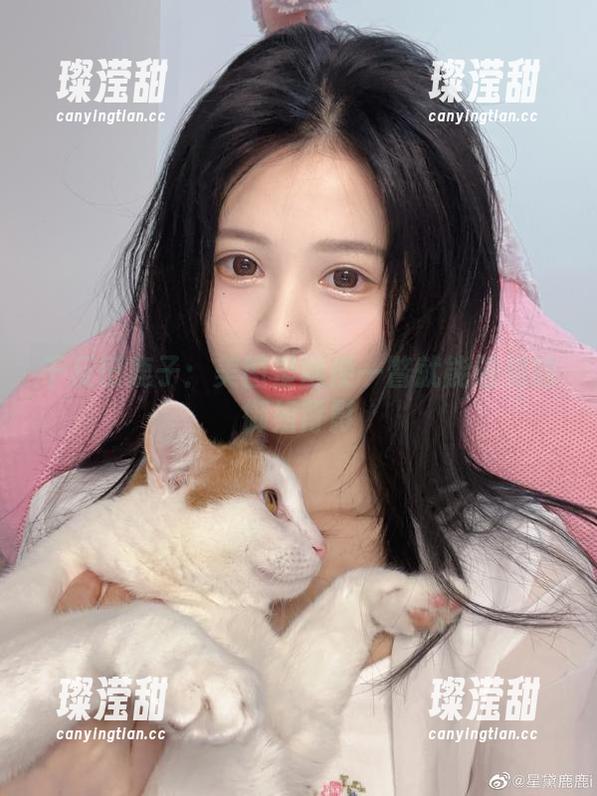 千反田鹿子：美图里随便一瞥就能碰见的御姐背影