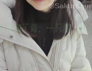 樱群的私房布丁狗：一只狗，所有的甜蜜！